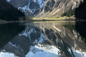 Цюрих: Однодневная поездка в Аппенцелльские горы, на озеро и сыроварню