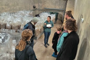 Самый сокровенный секрет Цюриха: скрытый мир грибов!