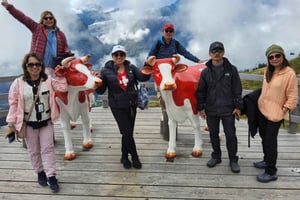 Цюрих: однодневная поездка в регион Юнгфрау на поезде и скрытая жемчужина