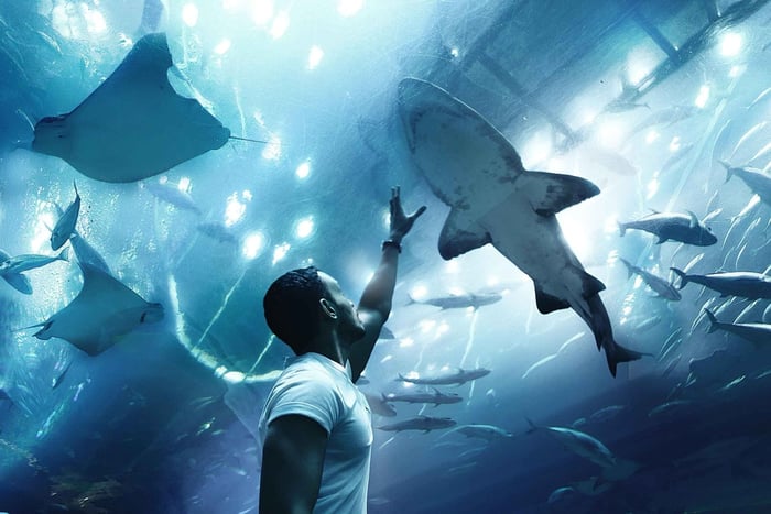 Visita a la Mezquita de Abu Dhabi y Mundo Marino desde Dubai