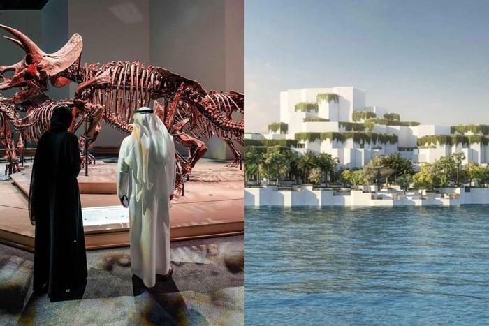Natural History Museum Abu Dhabi Entry Ticket