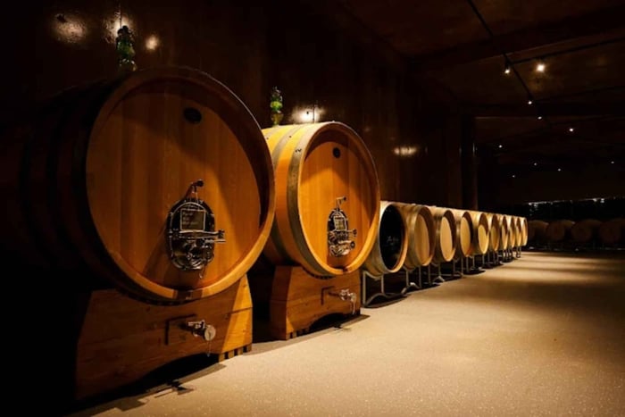 Exclusive Winery Tour in Tirana with Vineyard Visit