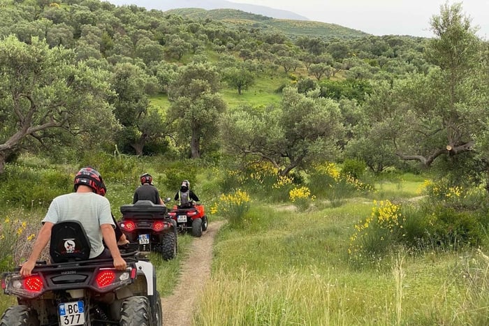 Tour in All-terrain vehicle tra i fenicotteri a Valona