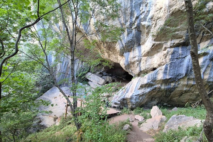 Från Tirana: Vandring till Pellumbas grotta och Erzeni Canyon