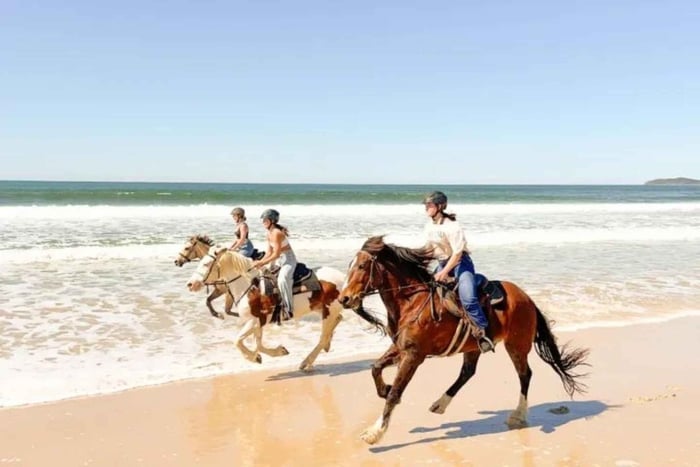 Tirana: tour di 1 giorno, giro a cavallo, Durazzo e tempo in spiaggia