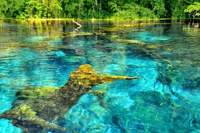 Tirana: tour privato di Ksamil, Blue Eye e della cascata di Peshtura