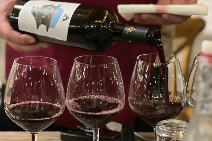 Wine Tasting Experience at Alpeta Winery