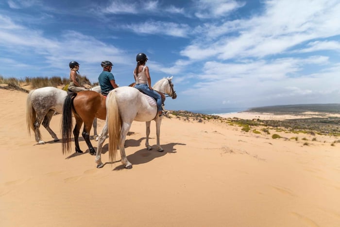 1-Hour Carrapateira Horseback Riding Tour