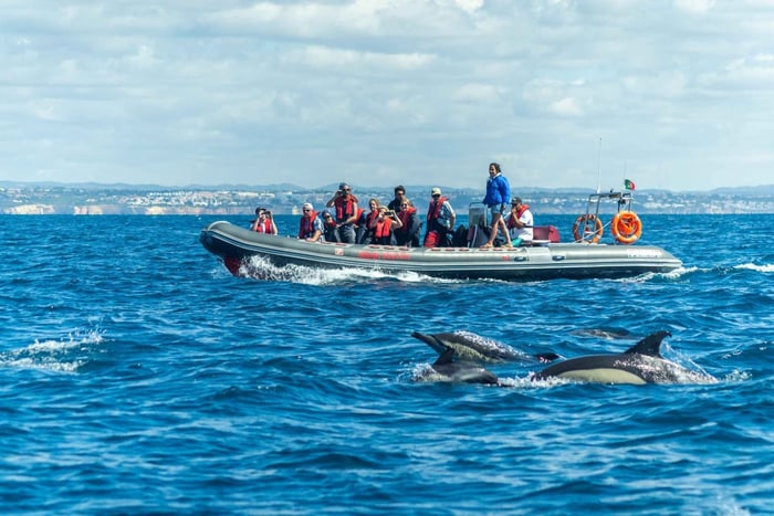Albufeira: Passeio Particular de Barco Rígido com Golfinhos e Algar de Benagil