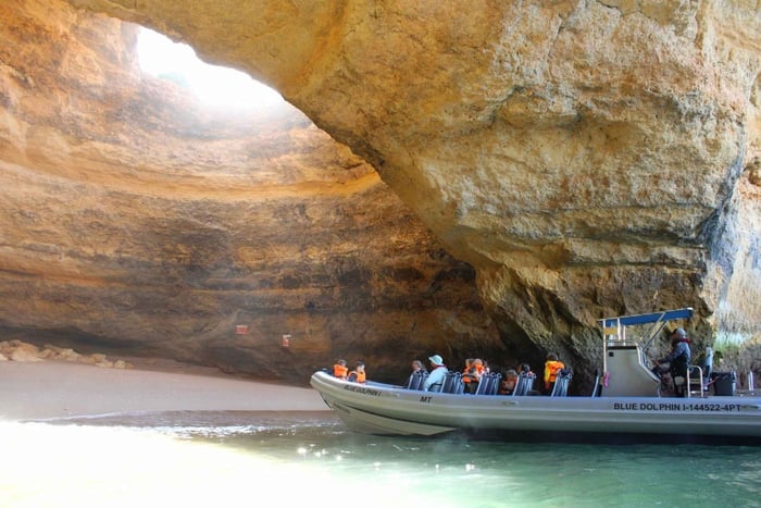 Albufeira: Benagil Caves and Dolphin Watching Tour