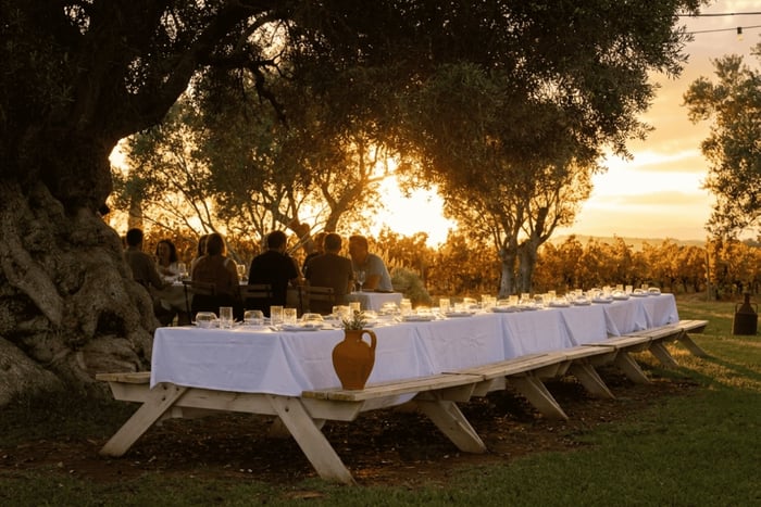 Algarve Wine: Sunset Dinner, Wine and, Tour of the Vineyard