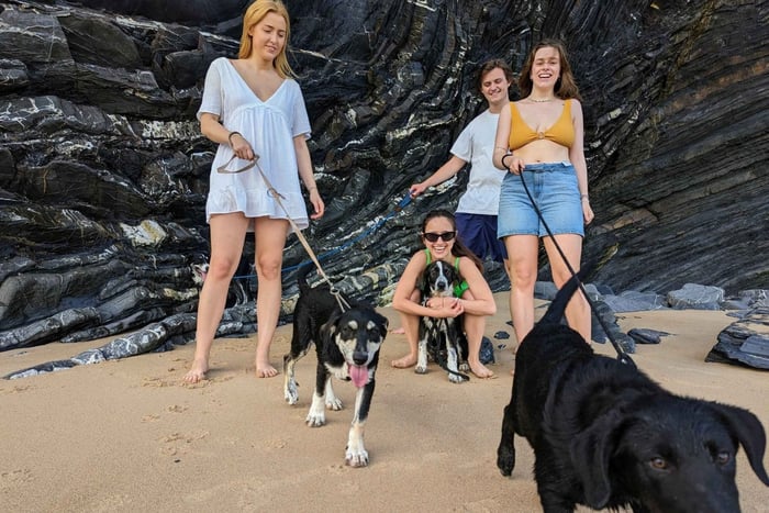 Från Lagos: Hundpromenad och dag på stranden med picknick