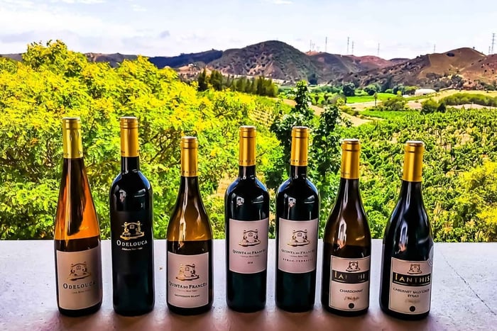 From Lagos: Small-Group 4-Hour Wine Tasting Tour