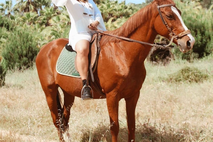 Horseback riding