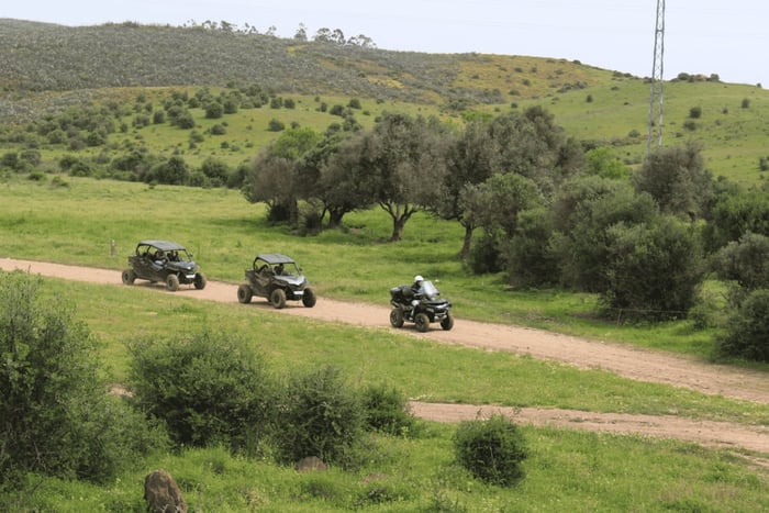 Lagos: Passeio de Buggy pelo Interior do Algarve