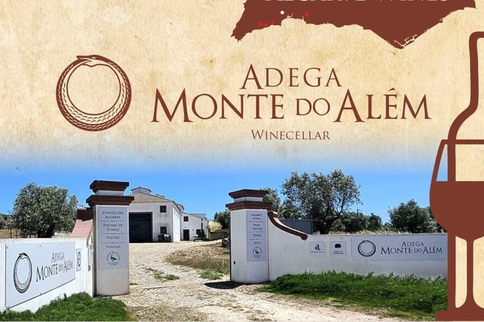 Lagos: Wine Tasting Experience at Local Winery