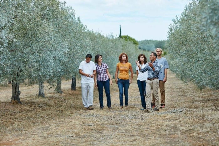 Moncarapacho: Olive Oil Tour with Tasting
