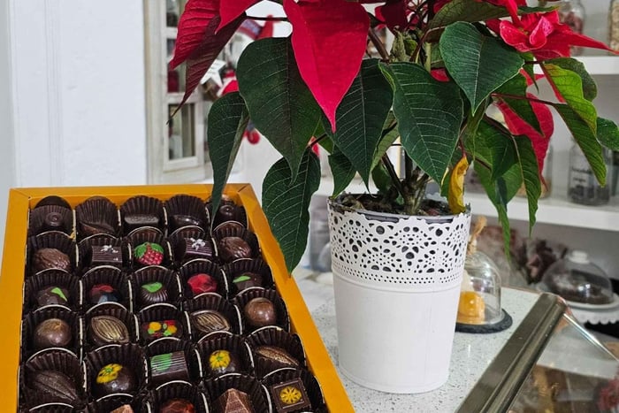Tavira City & Chocolate