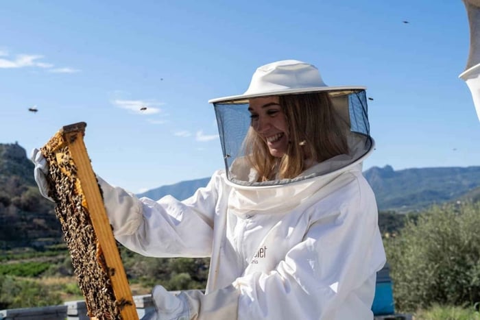 Discover the world of bees and taste their honey in Alicante