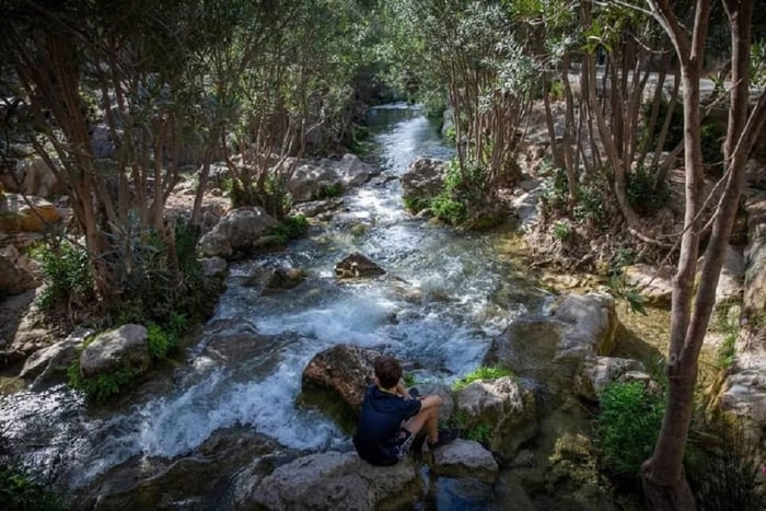 From Benidorm: Algar Waterfalls Tour with transfer