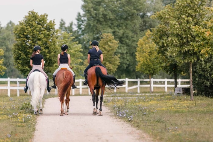 giro a cavallo con picnic di tapas spagnole