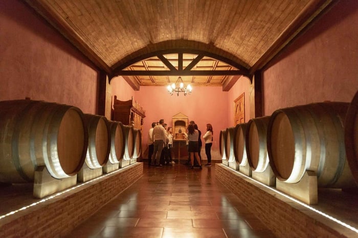 Alicante : Visite d'un domaine viticole haut de gamme avec 7 dégustations, guide spécialiste