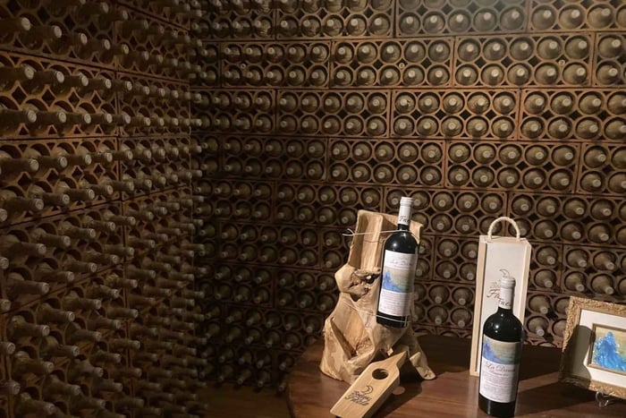 tour della cantina con degustazione di vini e stuzzichini