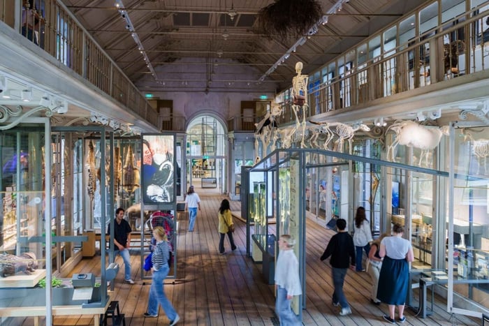 Amsterdam: ARTIS-Groote Museum Entry Ticket