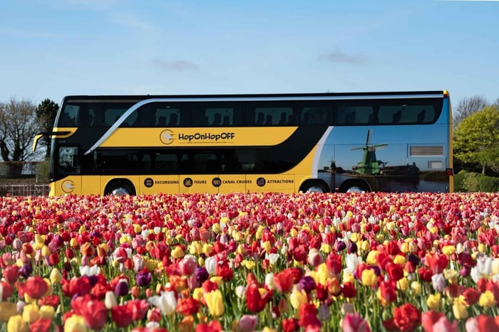 Amsterdam: Bus Transfer to Keukenhof & Tulip Fields