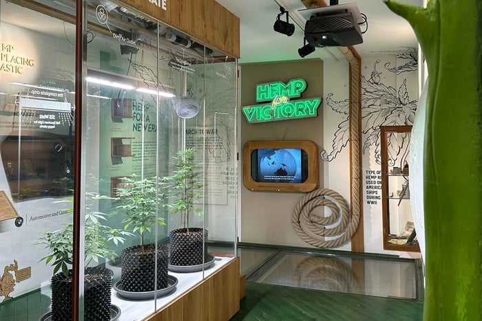 Amsterdã: Ingresso para o Museu da Cannabis
