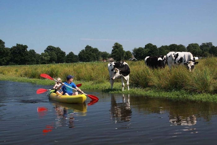 Amsterdam : Visite guidée à vélo et en kayak dans la campagne