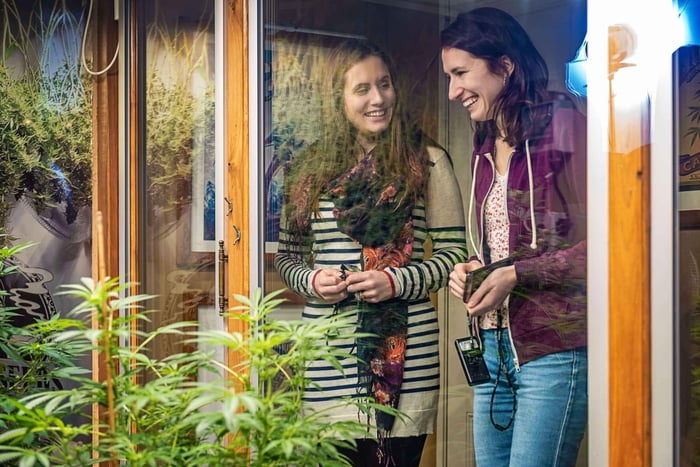 Amsterdã: ingresso para Hash, Marihuana e Hemp Museum
