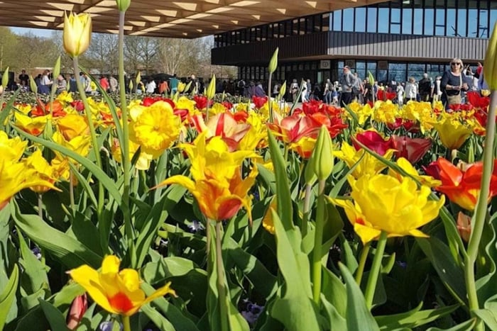 Amsterdam: Keukenhof & FlowerFarm Tour Including Tickets