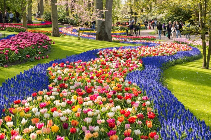 Amesterdão: Visita guiada aos Jardins de Keukenhof em espanhol e inglês