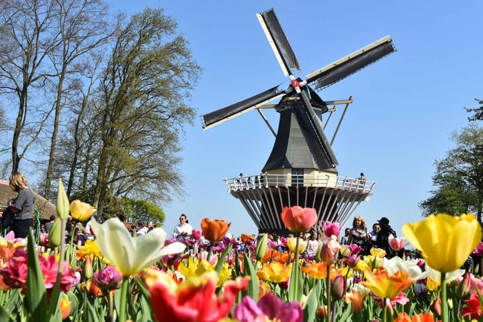 Amesterdão: excursão guiada de meio dia aos Jardins Keukenhof