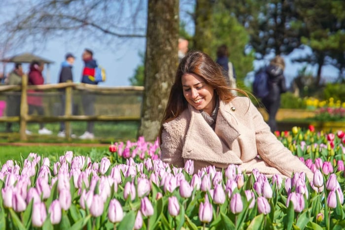 Amsterdam: Tulipany w Keukenhof i Giethoorn