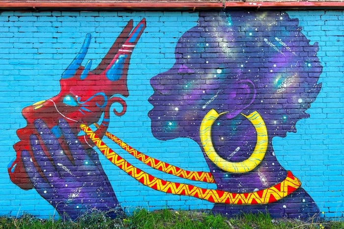 Tour a piedi dell'arte di strada di Amsterdam, con guida locale privata