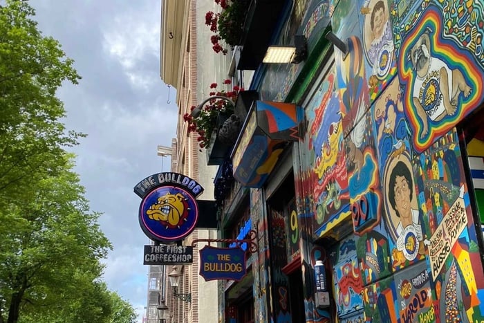 Amsterdã sem filtros: coffeeshops e o distrito da luz vermelha