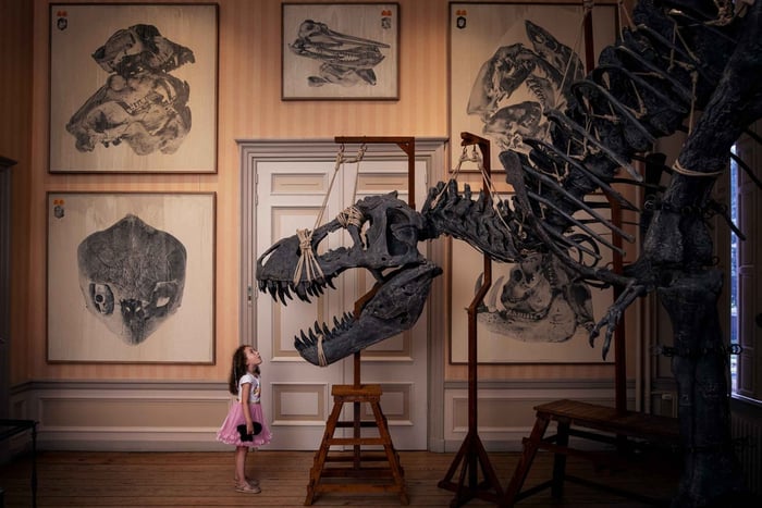 Muzeum Art Zoo: sztuka spotyka się z naturą w XVII-wiecznym domu
