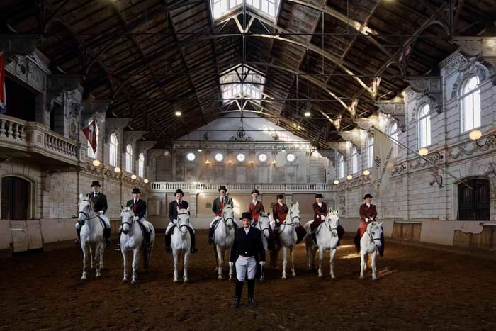De Haar Castle, Miffy Museum & Equestrian Tour