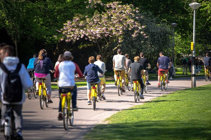 tour in bici per famiglie con bingo e stroopwafel