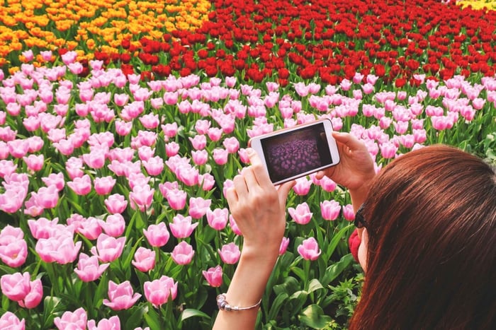 Desde Ámsterdam: Tulipanes de Keukenhof, Molinos de Viento y Volendam