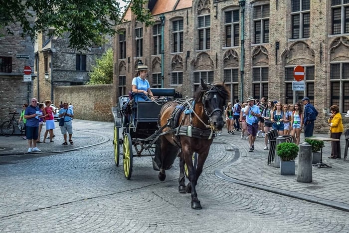 Da Amsterdam: Tour turistico privato a Bruges