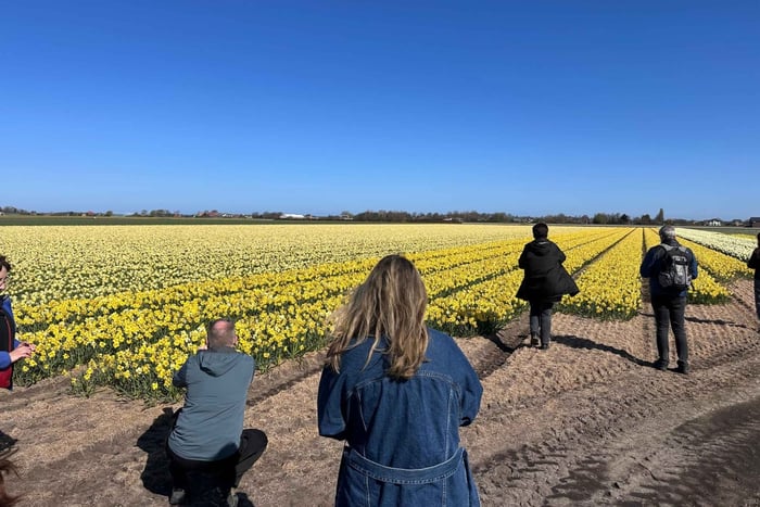 From Amsterdam: The Early Flower Tour, full day with Lunch