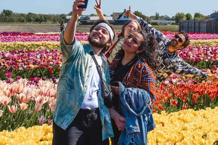 From Amsterdam: Tulip Experience and Tulip Fields Tour