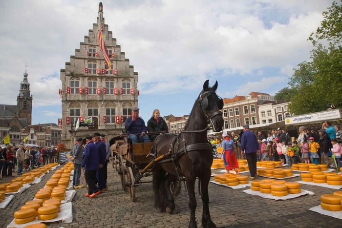 De Amesterdão: passeio de um dia a Utrecht, Oudewater e Gouda