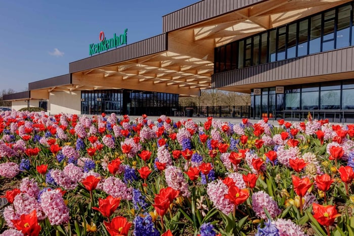 Halvdags cykeltur til blomstermarkerne og Keukenhof