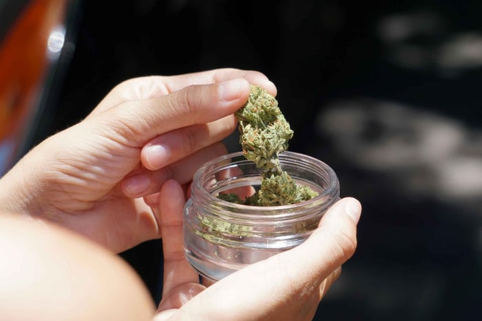 Private Cannabis Culture Tour with Coffeeshops