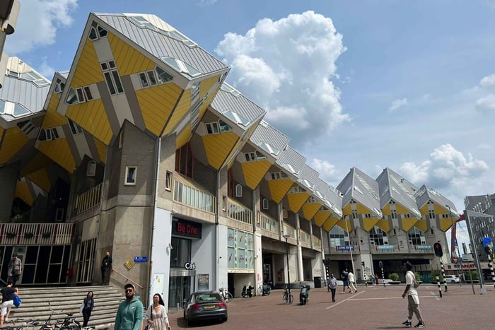 Amsterdã: viagem de um dia a Haia e Roterdã com um morador local