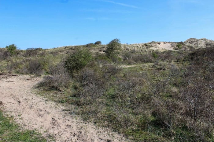 Amsterdã: tour da Segunda Guerra Mundial: Atlantikwal, nazistas e praias holandesas